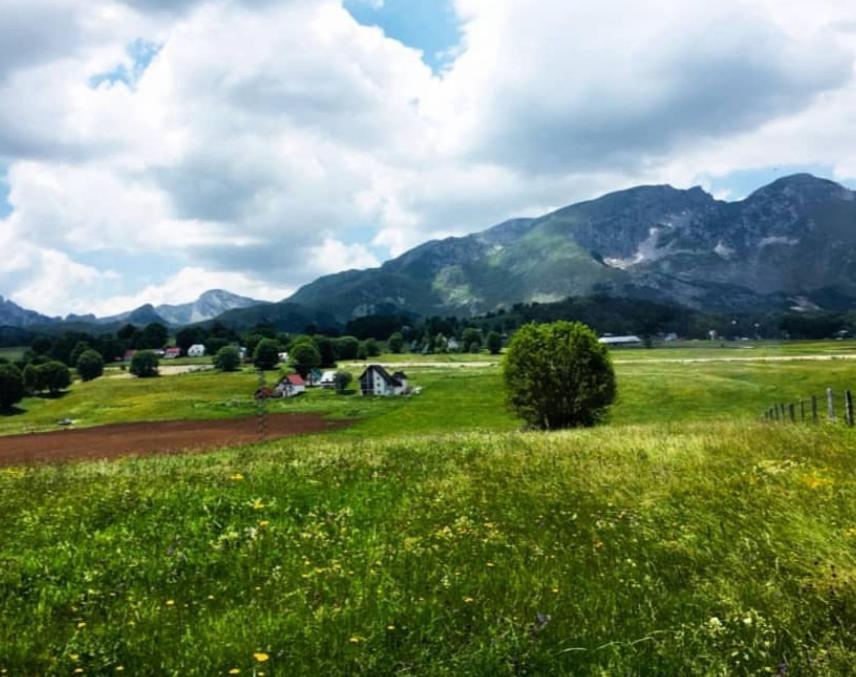 Mountain Peaceful Cottages Žabljak Exterior foto